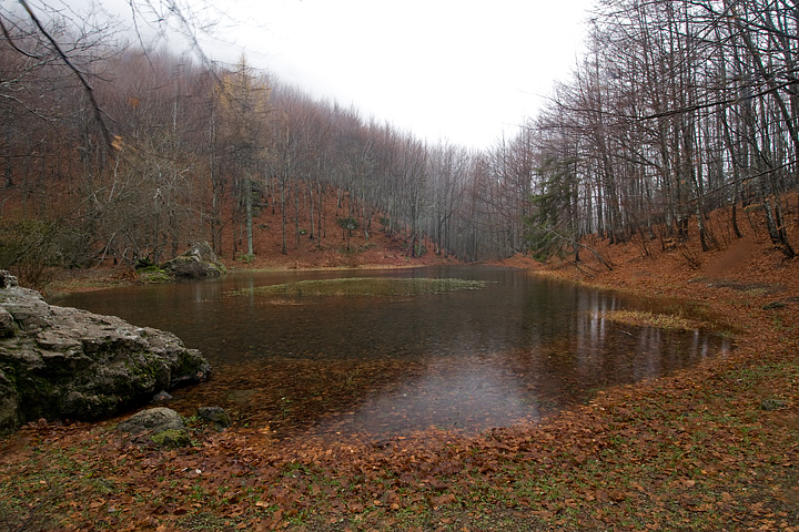 foliage, autunno, faggi val d'aveto